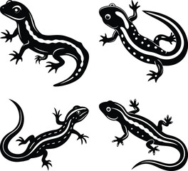 Naklejka premium Salamander silhouette vector