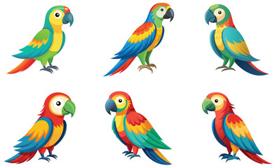 Set of parrots isolated on white background