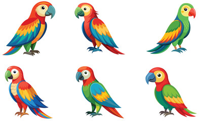 Set of parrots isolated on white background