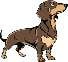 Dachshund dog clipart vector