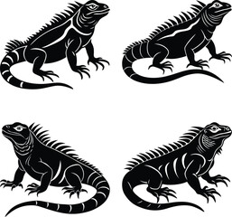 Iguana silhouette vector