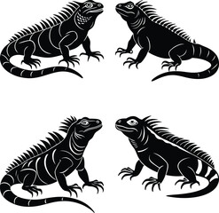 Iguana silhouette vector