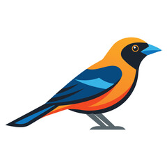 Obraz premium Vibrant Tanager Bird Illustration Design