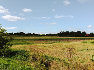 Field with a few trees and a red house in the distance