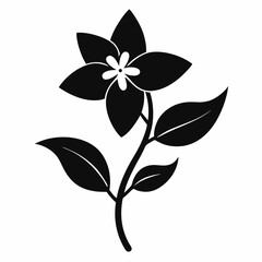 a jasmine flower, silhouette vector art illustration, isolated white background