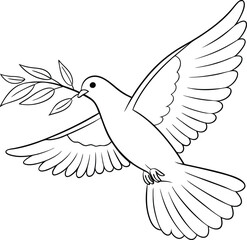 Dove with olive branch vector illustration graphic design