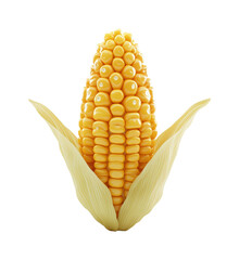 Harvesting golden corn fresh produce showcase farm environment view isolated on transparent background png