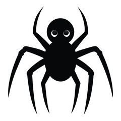 spider isolated on white background