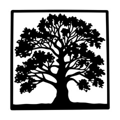 Majestic Silhouette of a Large Oak Tree in a Square Frame Black and White Botanical Illustration