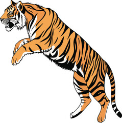 Obraz premium tiger colorful vector and illustrator