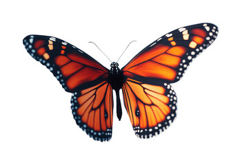 Fototapeta premium Colorful monarch butterfly in flight over a vibrant garden nature view isolated on transparent background png