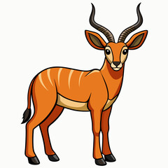 deer vector illustration