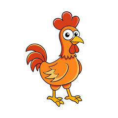 rooster isolated on white background