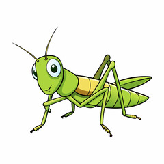 green grasshopper isolated on white background