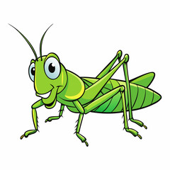 green grasshopper isolated on white background