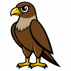 red tailed hawk