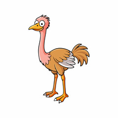 vector illustration of cartoon chicken
