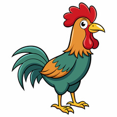 rooster isolated on white background