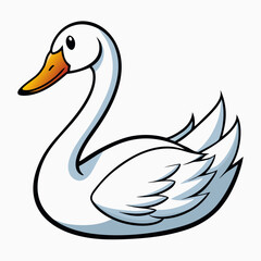 white swan on the water