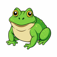 green frog on white background