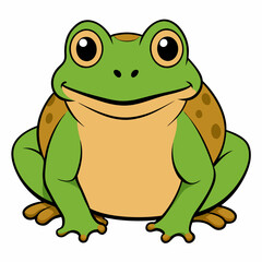 green frog vector illustration