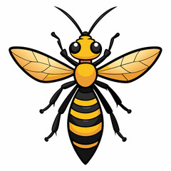 bee vector illustration