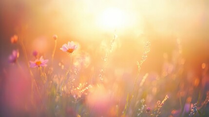 Fototapeta premium Tranquil sunrise over a blooming summer meadow with golden light, wildflowers, and morning mist capturing the essence of solstice energy and seasonal renewal.