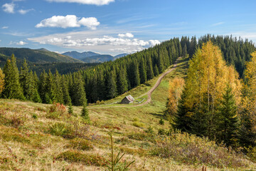 Wooden hut on a grassy hill with a tall spruce forest in autumn.