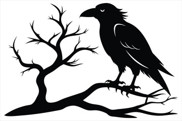 Raven bird silhouette on a dead tree branch