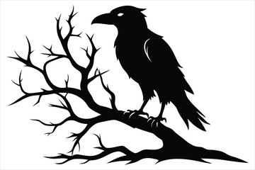 Raven bird silhouette on a dead tree branch