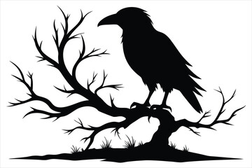 Raven bird silhouette on a dead tree branch