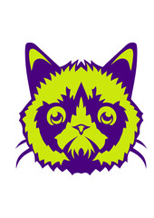  chat tete animaux domestique