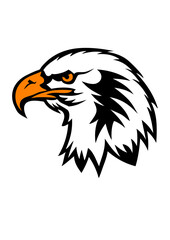 aigle tete dessin face cartoon