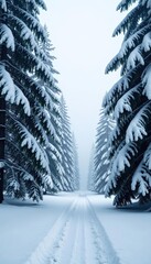 Winter coniferous forest with snow-covered trees and a serene atmosphere,  holiday,  white