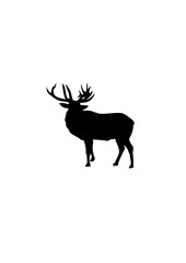 cerf dessin silhouette ombre