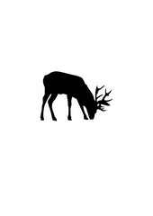 cerf dessin silhouette ombre