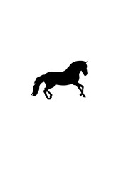 cheval dessin silhouette ombre
