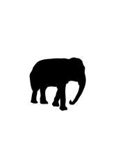 elephant silhouette ombre dessin