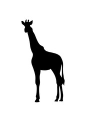 girafe silhouette ombre dessin