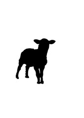 mouton silhouette ombre dessin