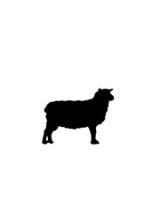mouton silhouette ombre dessin