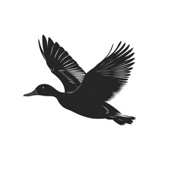 Fototapeta premium Silhouette of a duck in flight against a white background, for design