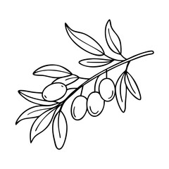 olive branch icon, olive branch vector illustration-simple illustration of olive branch, perfect for olive branch logos and icons