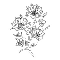 Elegant Floral Arrangement: Delicate Blossom Outlines with Intricate Botanical Details