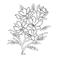 Elegant floral design displaying blooming botanical illustration in monochrome line art