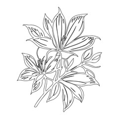 Elegant floral outline illustration with stylized petals and minimalist design