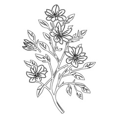 Delicate floral sprig illustration showcasing intricate line work and organic flow