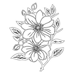 Elegant floral arrangement featuring delicate line art for coloring page design