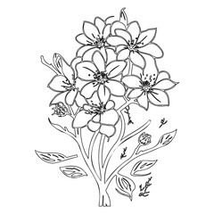 Elegant floral outline design featuring blooming flowers, buds, and botanical elements