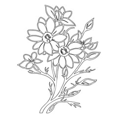 Elegant botanical outline with artistic daisy-like blossoms and intricate foliage